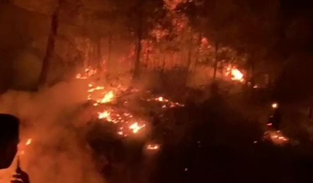 Gazipaşa’da ormanlık alanda yangın