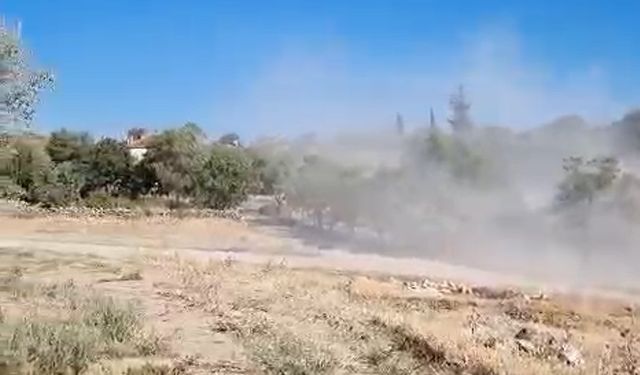 Hafriyat kamyonları yüzünden toz soluyorlar