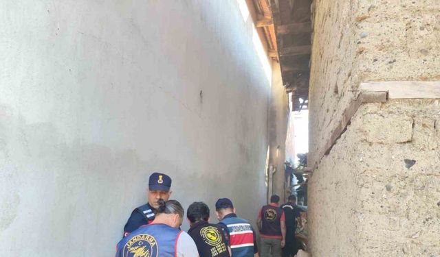 İçkisine karışan babaannesini başına tüple vurarak öldürdü