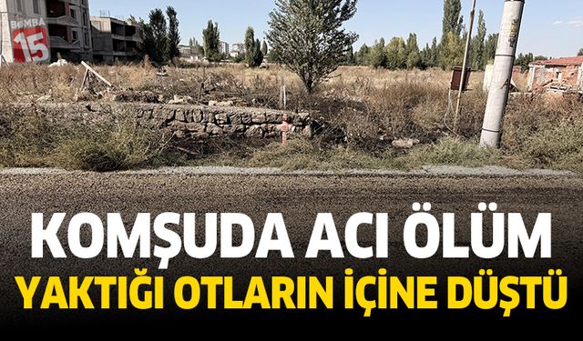 Yaktığı otların içerisine düşerek can verdi