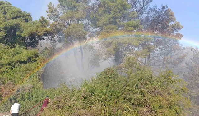 Orman yangınında uçaktan atılan su gökkuşağı oluşturdu