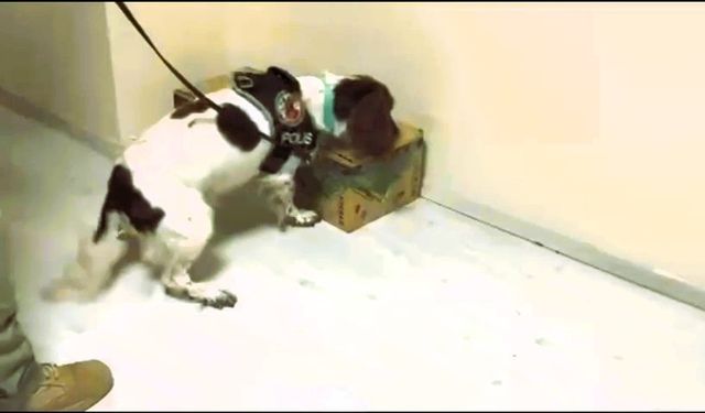 Otobüsle getirdiği 4,5 kilo uyuşturucuyu satamadan yakalandı