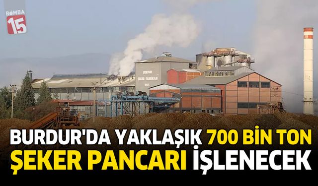 Burdur'da Yaklaşık 700 Bin Ton Şeker Pancarı İşlenecek