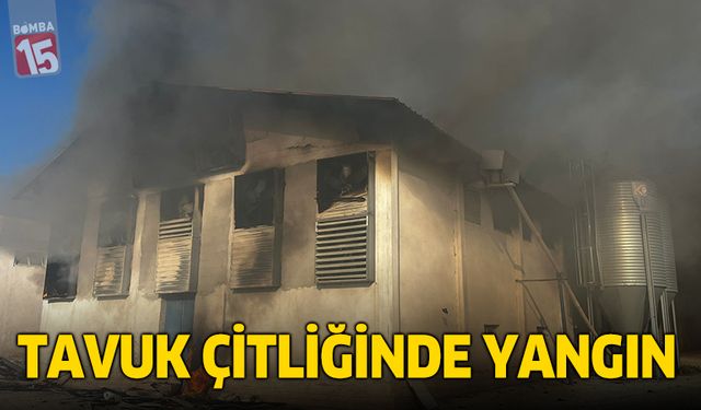 Tavuk çiftliği küle döndü