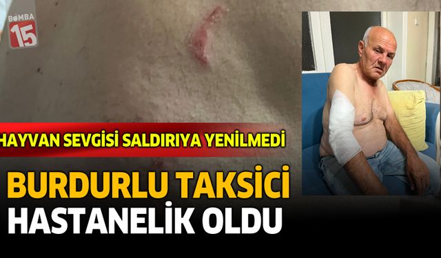 Burdurlu Taksici Hastanelik Oldu! Hayvan Sevgisi Saldırıya Yenilmedi