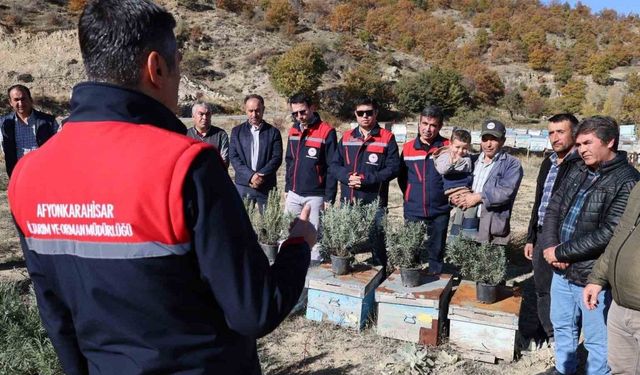 Arıcalara lavanta fidesi dağıtıldı
