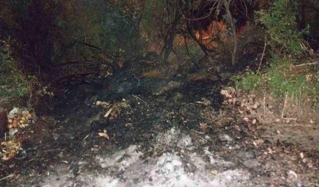 Bucak'ta arazi yangını