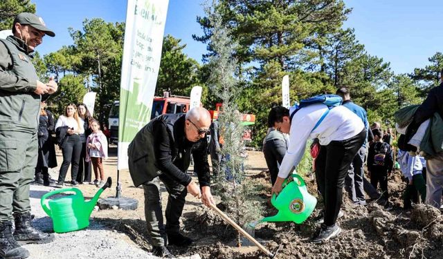 Çameli’de 11 Kasım Milli Ağaçlandırma Günü kapsamında fidanlar toprakla buluştu