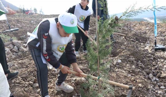 Denizli’de yanan alanlarda binlerce fidan toprakla buluştu