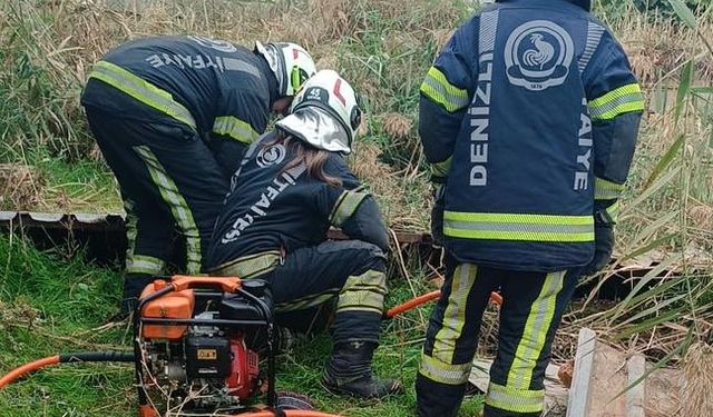 Fosseptik çukuruna düşen köpek kurtarıldı