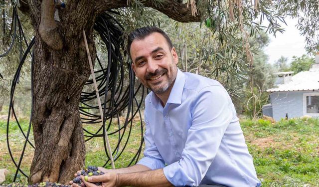 Manavgat’ta Zeytin ve Zeytinyağı Festivali’nin ikincisi başlıyor