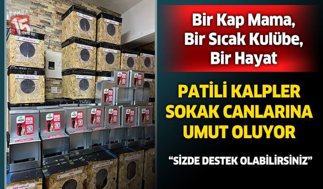 Burdur'da Patili Kalpler’den Sokak Canlarına Umut Eli