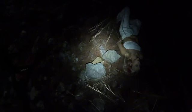 Yürüyüş esnasında uçurumdan düşen Ukraynalı 2 turist kurtarıldı