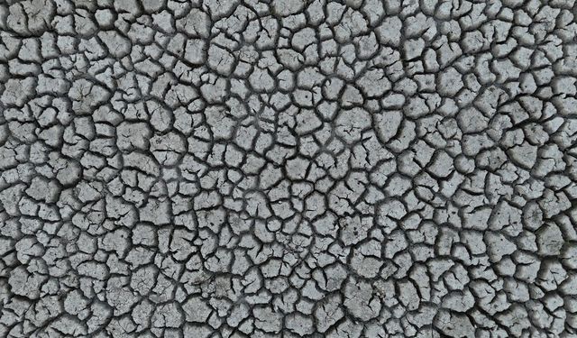 Eğirdir Gölü'ndeki kuraklık tarımda yön değiştirdi