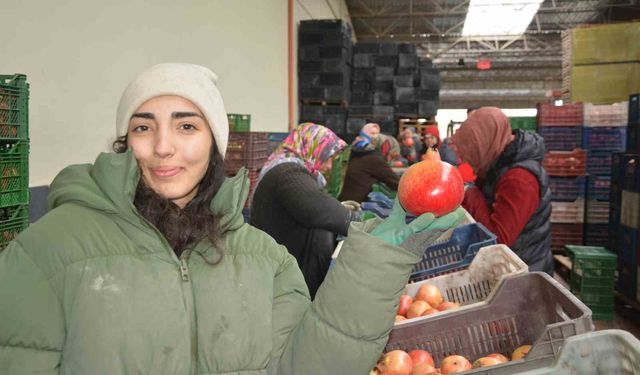 Korkuteli'nden nar ihracatı başladı