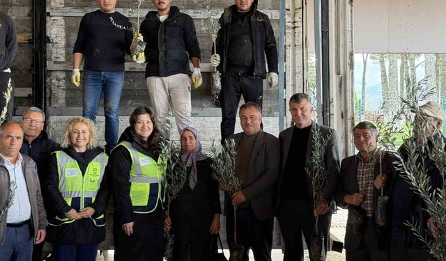 Beyağaç'ta kırsal kalkınmayı destek amacıyla zeytin fidanı dağıtımı gerçekleşti