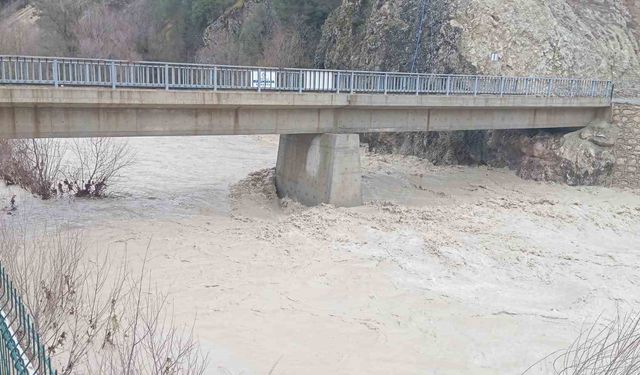 Denizli'de su seviyesi artan derelerde köprüler zarar gördü