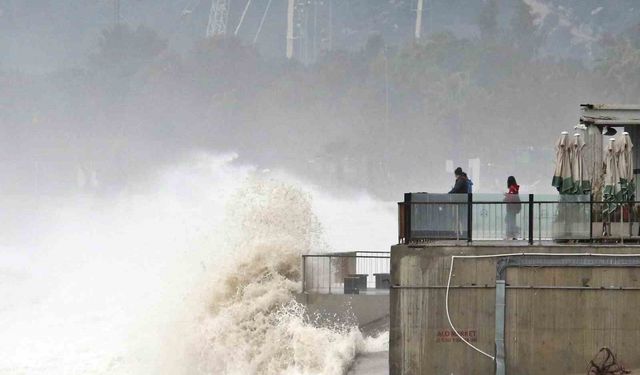 Dev dalgalar sahili dövdü: Martılar balık, define avcıları kıymetli eşya aradı