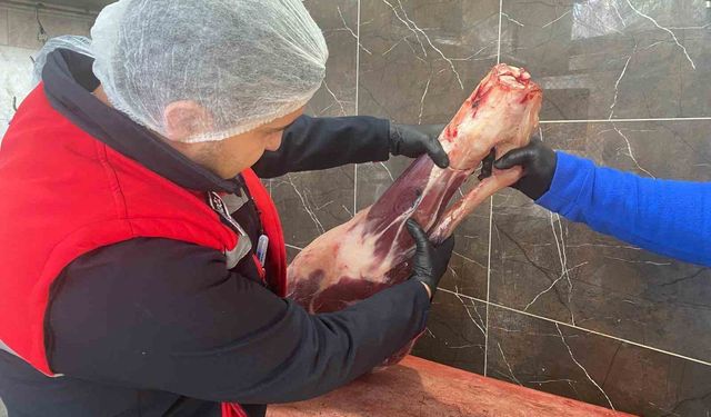 Gıda işletmelerine yönelik denetimler sürüyor