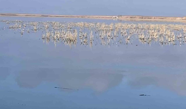 Her damlanın Eber Gölü'ne ulaşması için topyekun mücadele