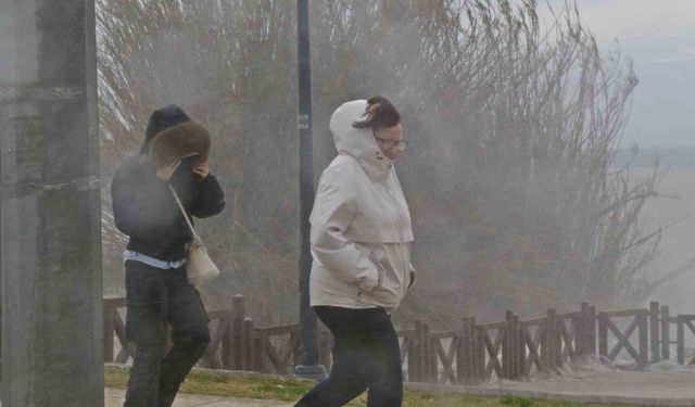 Şelale şiddetli rüzgarla tersine çağladı, denizin rengi kahverengiye büründü