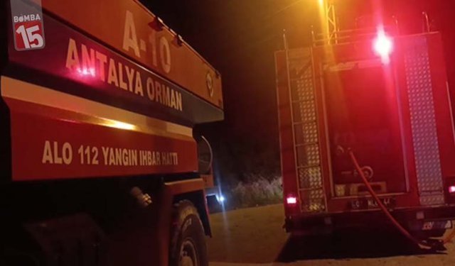 Antalya’da Orman Yangını: 1 Dönüm Alan Zarar Gördü