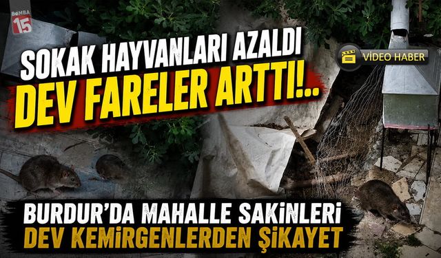 BURDUR HABERLERİ