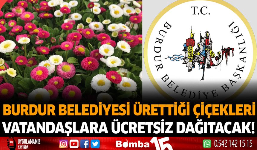 Burdur Belediyesi Ürettiği Çiçekleri Vatandaşlara Ücretsiz Dağıtacak
