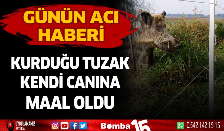 Bahçesini domuzlardan korumak için yaptığı tuzak hayatına maal oldu