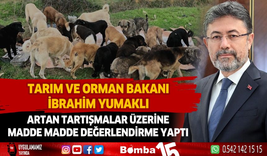 Sahipsiz köpeklerle ilgili Bakan İbrahim Yumaklı'dan madde madde değerlendirme