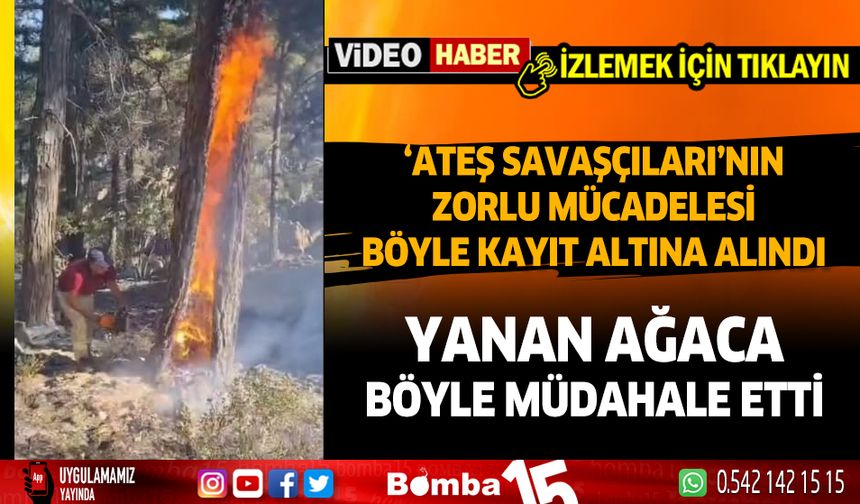 Antalya sınırında ateş savaşçılarını zorlu mücadelesi böyle görüntülendi