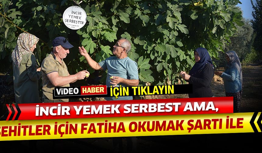 İncir yemek serbest ama şehitler için fatiha okuduktan sonra