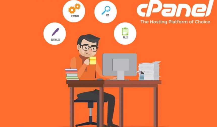 cPanel Hosting Hangi Projelerde Kullanılır?