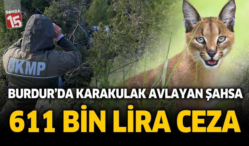 Burdur'da karakulak öldüren avcıya dev ceza