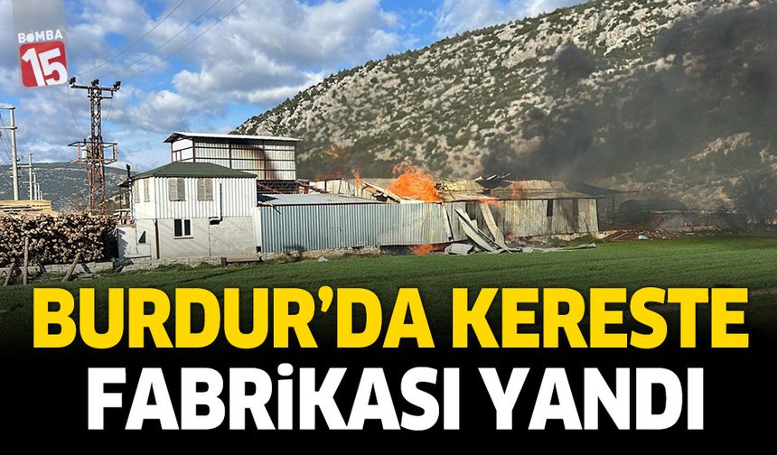 Burdur'da kereste fabrikası yandı