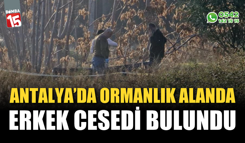 Antalya’da ormanlık alanda bir erkeğin cansız bedeni bulundu