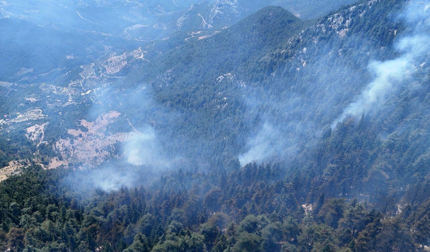 Gazipaşa'daki orman yangını 3. gününde kontrol altına alındı