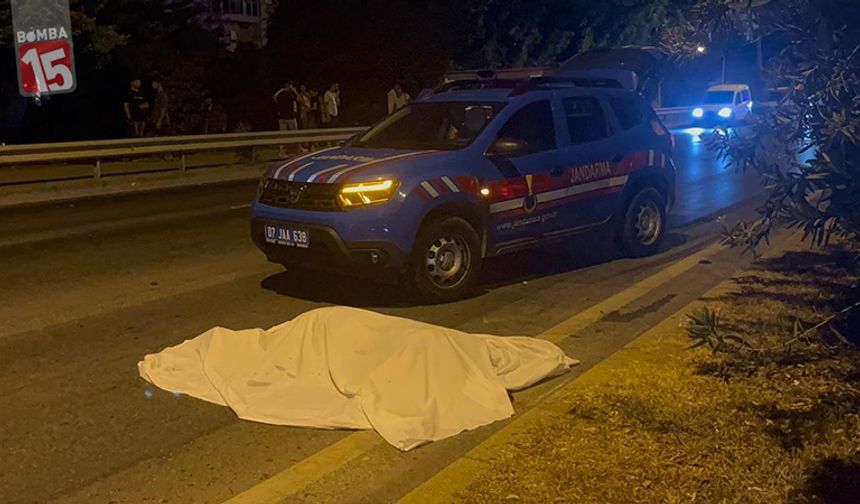 Litvanyalı turist kadın yaya geçidinde can verdi