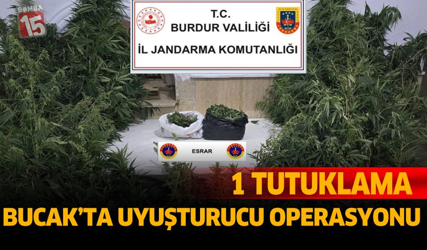Bucak’ta Uyuşturucu Operasyonu: 1 Tutuklama