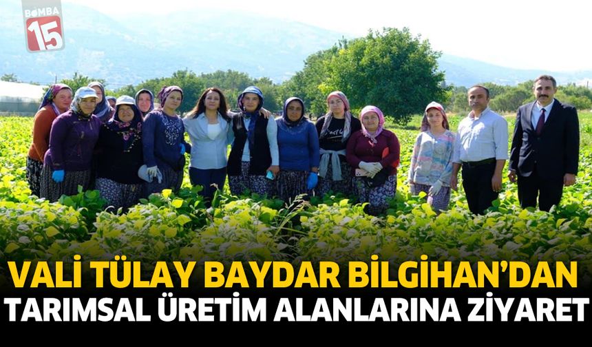 Vali Tülay Baydar Bilgihan'dan Tarımsal Üretim Alanlarına Ziyaret