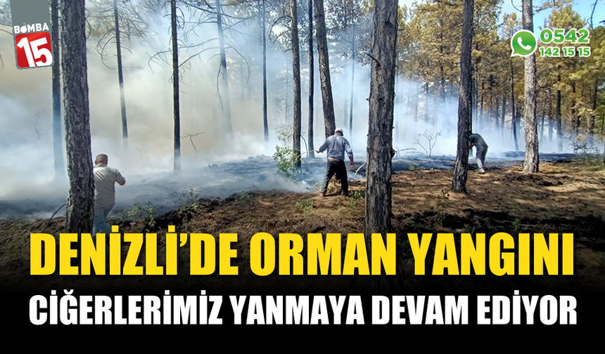 Denizli’de orman yangını, ciğerlerimiz yanıyor