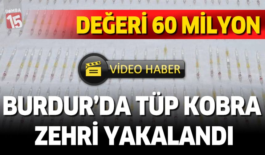 Burdur'da piyasa değeri 60 milyon olan kobra zehri yakalandı