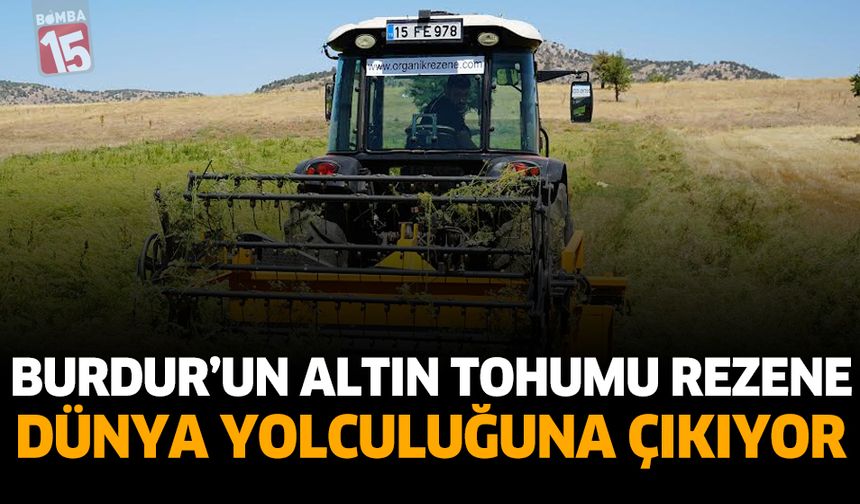 Burdur’un Altın Tohumu Rezene Dünya Yolculuğuna Çıkıyor