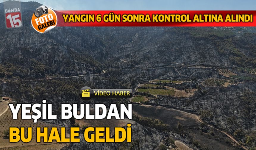 Yeşil Buldan bu hale geldi. Yeşilden siyaha