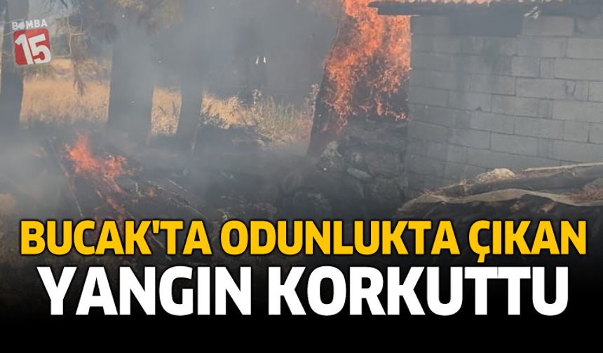 Bucak'ta Odunlukta Çıkan Yangın Korkuttu