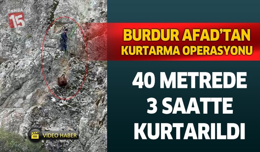 Burdur'da AFAD mahsur kalan keçiler için seferber oldu