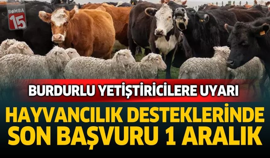 Burdurlu Yetiştiricilere Uyarı: Hayvancılık Desteklerinde Son Başvuru 1 Aralık
