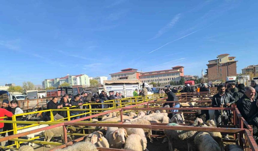 Uzun süredir kapalı olan canlı hayvan pazarı açıldı