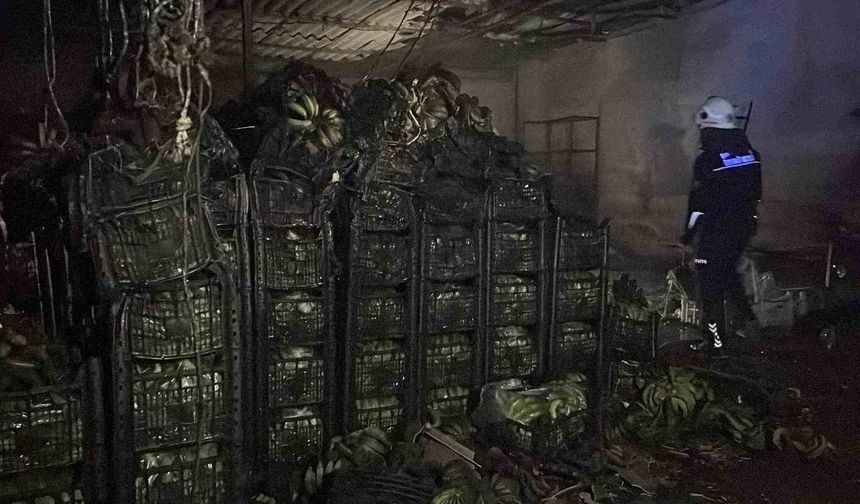 Alanya'da muz sarartma tesisinde yangın: Tonlarca muz zarar gördü