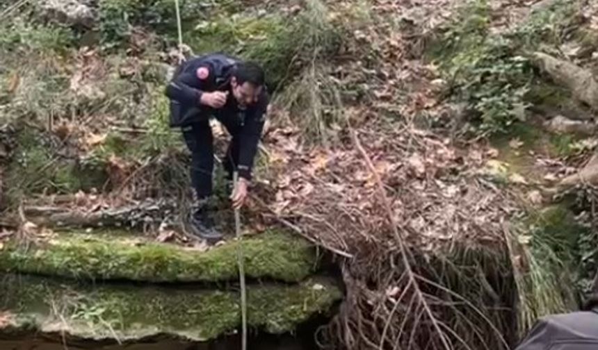 Dereye düşen köpek duyarlı vatandaş sayesinde kurtarıldı